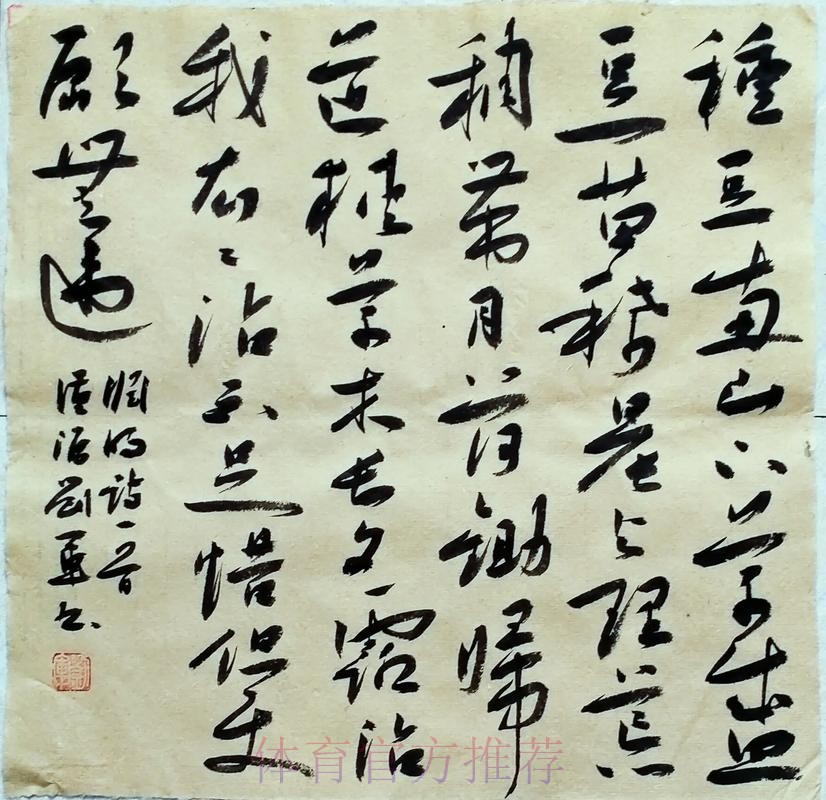 古蒂：更衣室对沙龙所不满意成为其下课导火索